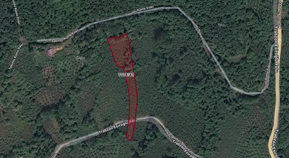 TRABZON MAÇKA ESİROĞLU MAHALLESİNDE 2.714  M²FINDIK BAHÇEMİZ SATILIKTIR. - TRABZON MAÇKA fotoğraf 3